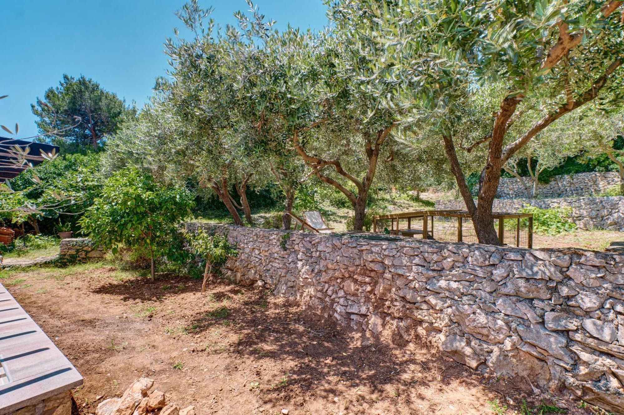 Providenca Accommodation Mali Losinj Exterior photo